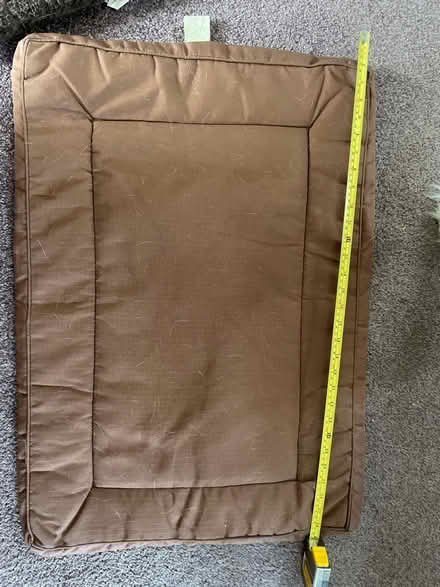Photo of free Dog crate mat (Chelmsford CM2) #3
