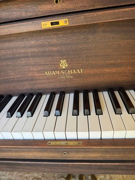 Photo of free Elegant baby grand piano (Terra Linda) #2
