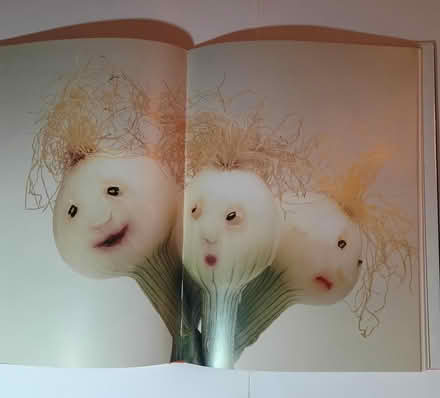 Photo of free Book: Play with Your Food (W section, Bowie) #2