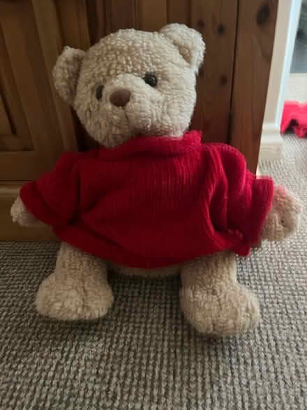 Photo of free Teddy pjama case (Hemel Hempstead) #1
