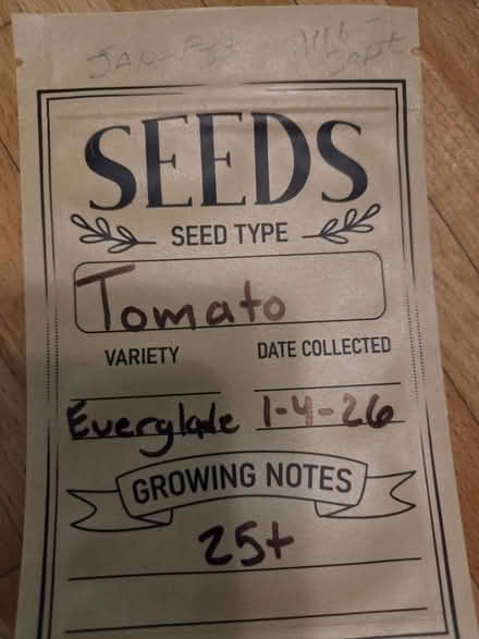 Photo of free Everglades tomato seeds (palm harbor CR 1 Tpa Road) #1