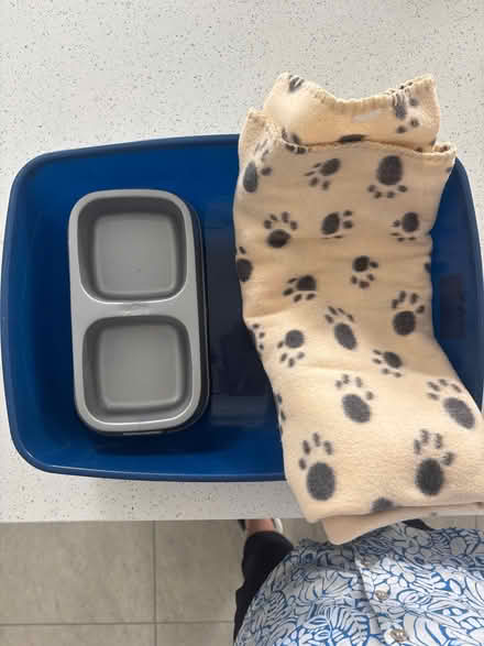 Photo of free Cat litter tray, double feeding bowl and blanket (Morley Green SK9) #1