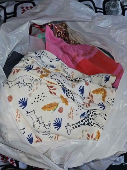 Photo of free 2-3 year old girl clothes (Gracemount EH16 6NF) #1
