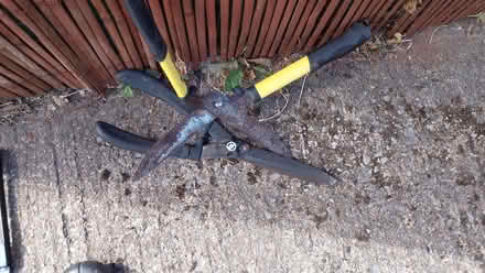 Photo of free Hedge shears (Littledale S9) #1