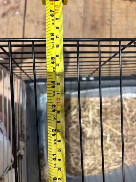 Photo of free Large guinea pig / rabbit cage (Addiscombe CR0) #3
