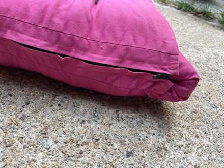 Photo of free 2 x single futons (Penzance TR20) #4
