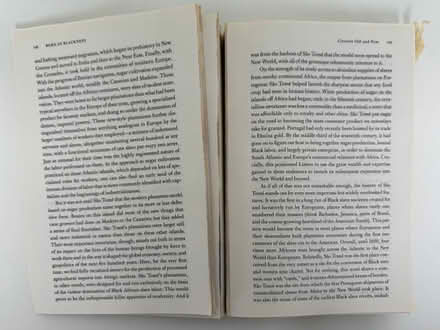 Photo of free Born in Blackness paperback book (1075 Valencia Avenue) #4