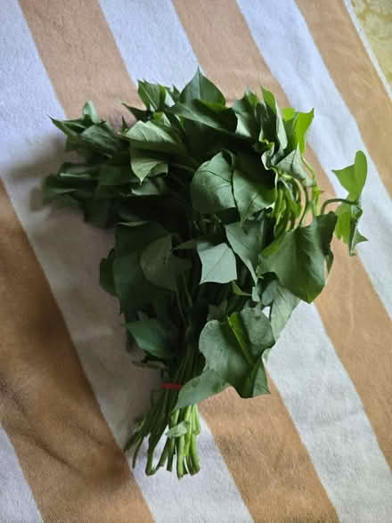 Photo of free 1 Bunch of Sweet Potato Greens (West 7th) #1