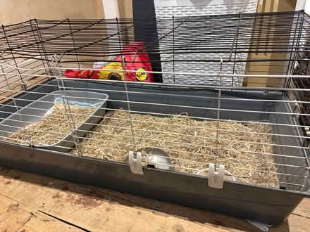 Photo of free Large guinea pig / rabbit cage (Addiscombe CR0) #2