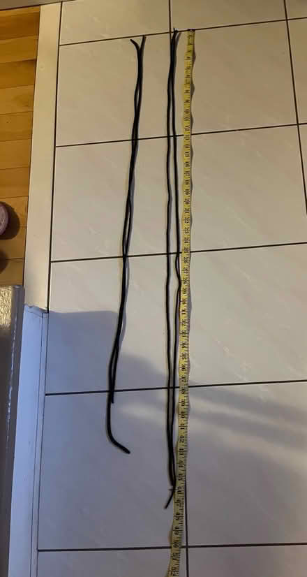 Photo of free Assorted shoe laces (Orleans/ Comvent Glen North) #1