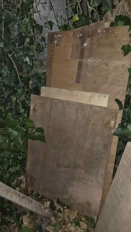 Photo of free Various Wood (hucknall ng15) #4