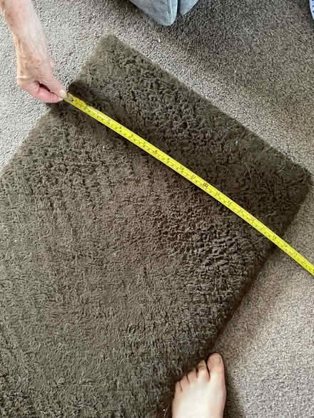 Photo of free Dog crate mat #2 (Chelmsford CM2) #1