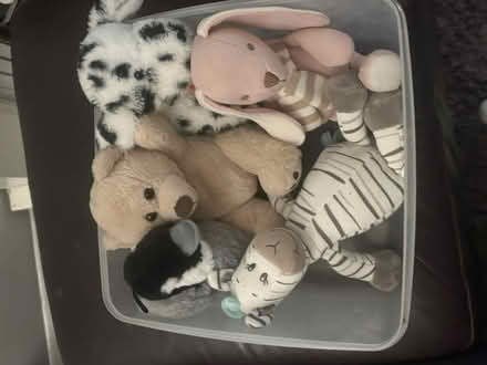 Photo of free Soft toys (Oxford OX4) #1