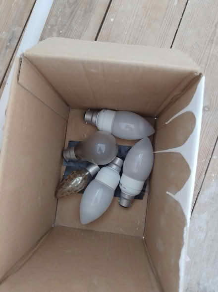Photo of free Collection of light bulbs (Camborne TR14) #2