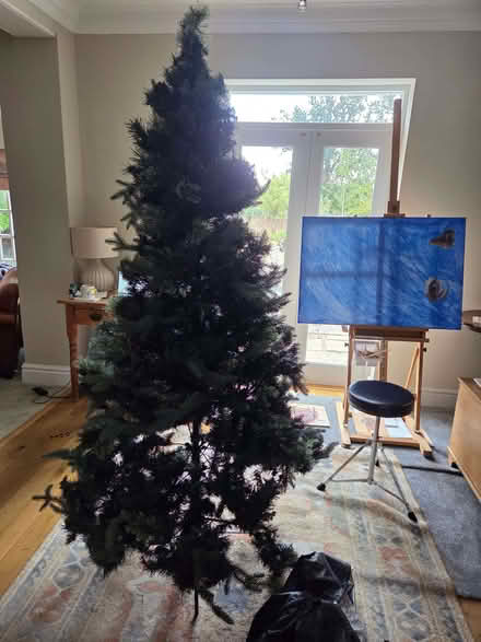 Photo of free 6ft Artificial Christmas Tree (Sunningdale SL5) #1
