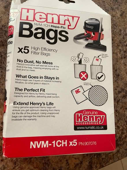Photo of Bags for vacuum cleaner like this (Colwall Stone WR13) #1