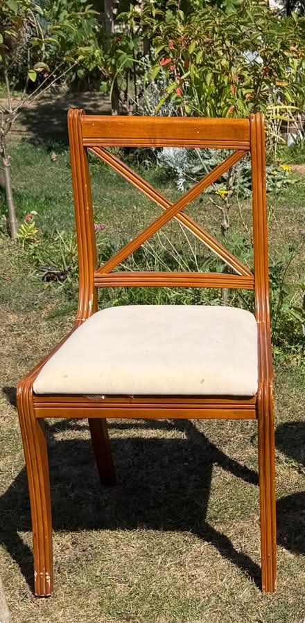 Photo of free Dining chair (Cooden TN39) #1