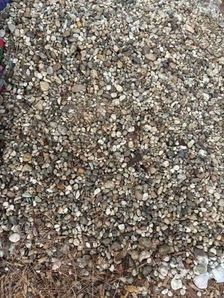 Photo of free Del Rio pebbles (North Hollywood) #2