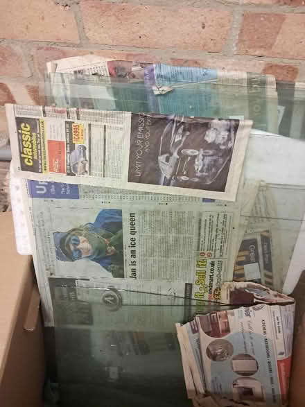 Photo of free Panes of greenhouse glass (Upper Norwood SE19) #1
