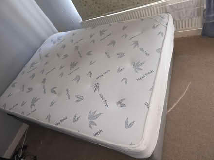 Photo of free to take double bed (B65) #2