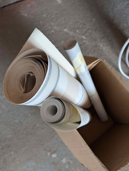 Photo of free Wallpaper (Llwynmawr LL20) #2