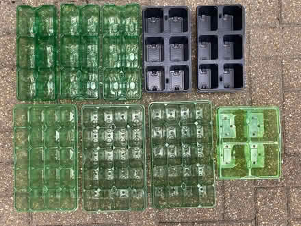 Photo of free Various Cell trays, garden plants/seeds (Hellesdon NR6) #1