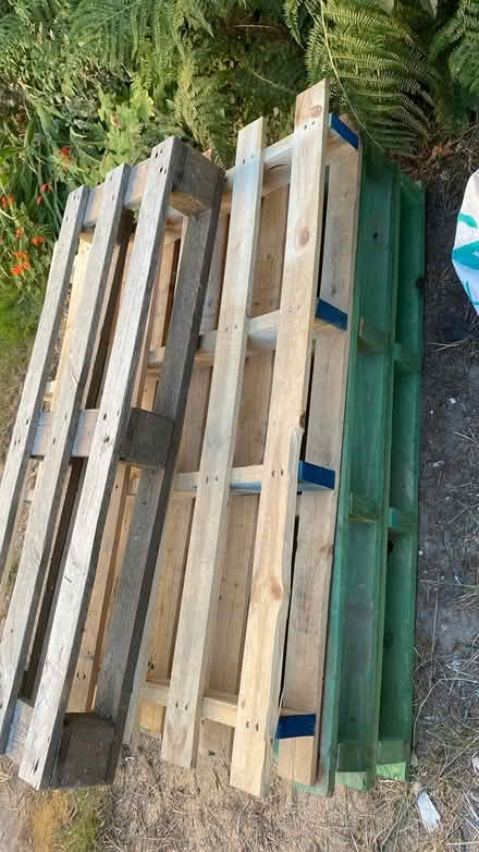 Photo of free Pallets (Mill Lane crowborough TN6) #4