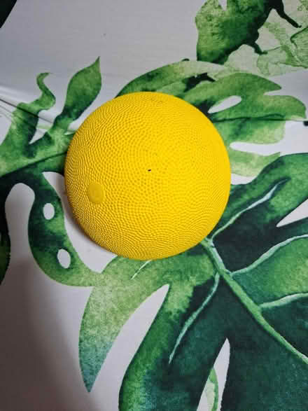 Photo of free 2kg Medicine ball (South Normanton near J28 M1) #1