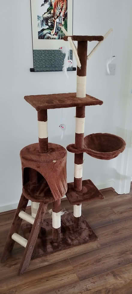 Photo of free Cat scratching tower (Wincobank S9) #1