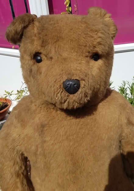 Photo of free Giant Teddy Bear 1.25 Metres Tall (St Michaels TN30) #2