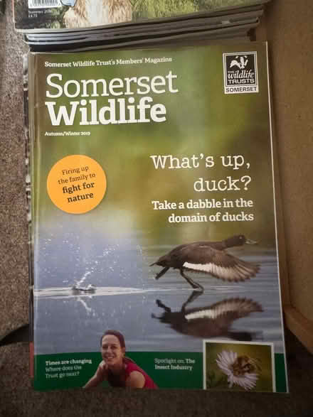 Photo of free Magazines - RSPB, Somerset Wildlife, Nat Trust, Organic Way (Glastonbury BA6) #2