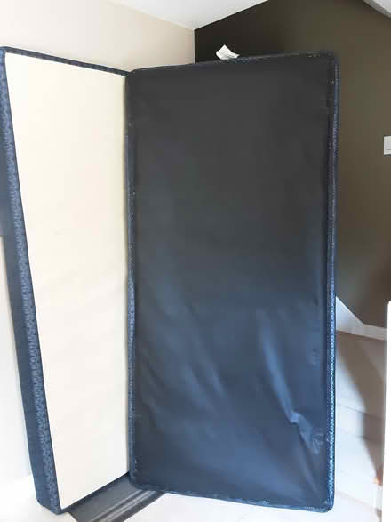 Photo of free Two twin boxsprings (Carlingwood) #2