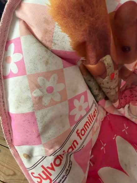 Photo of free Sylvanian families chair (Shefford SG17) #1