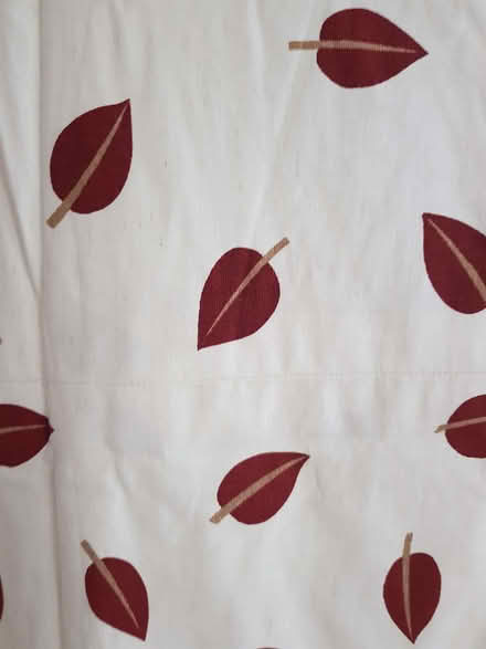 Photo of free Curtains (St Michaels TN30) #2