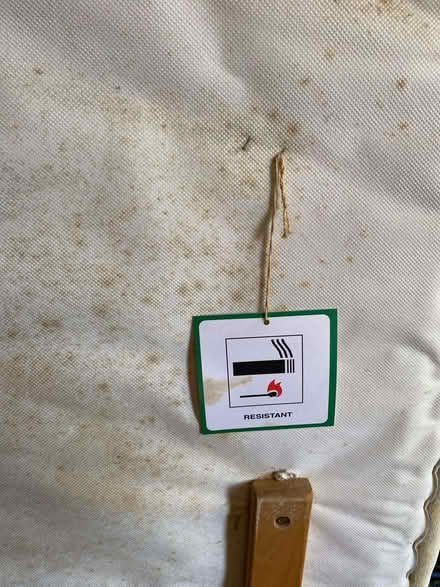 Photo of free Kingsize headboard (Spital CH63) #2