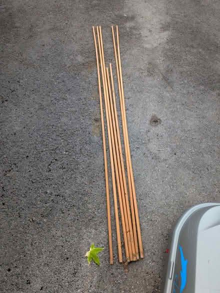 Photo of free Pine (I think) rods (North Woodchester GL5) #1