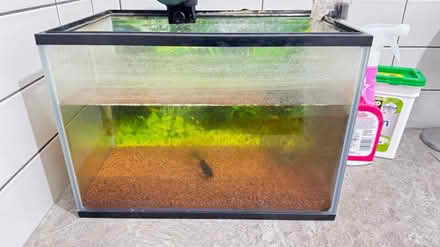 Photo of free Fish tank with one gold fish (IG8) #1
