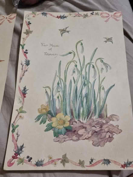 Photo of free 2 thin card floral.pictures (Alperton HA0) #2