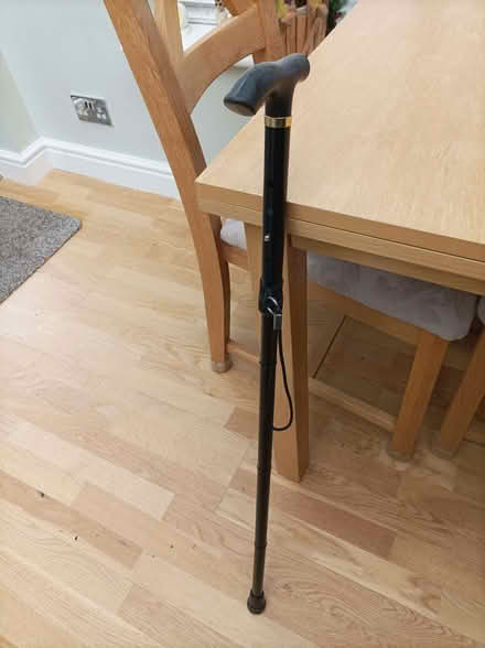 Photo of free Adjustable walking stick (Old Woking GU22) #2