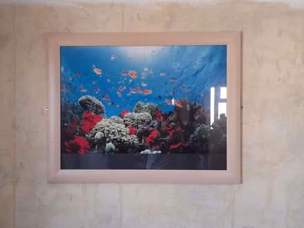 Photo of free Wall mounted picture in frame (Taunton Pyrland & Rowbarton District Ward TA2) #1