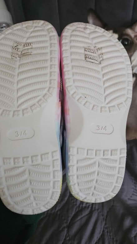 Photo of free Girls shoes (Corstophine EH4) #3
