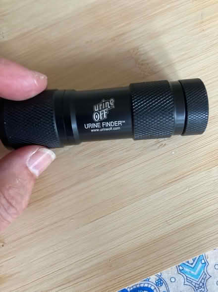 Photo of free Urine finder torch (Filton BS34) #1