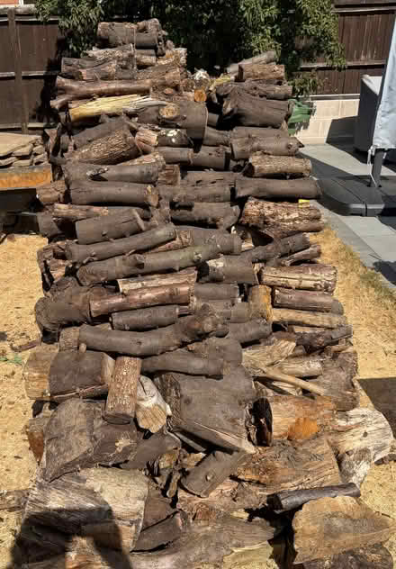 Photo of free Logs (Fazeley Junction B78) #2
