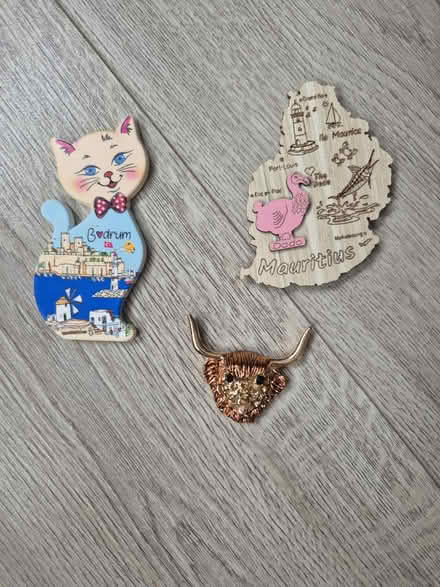 Photo of free Assorted Fridge Magnets (Abingdon OX14) #1