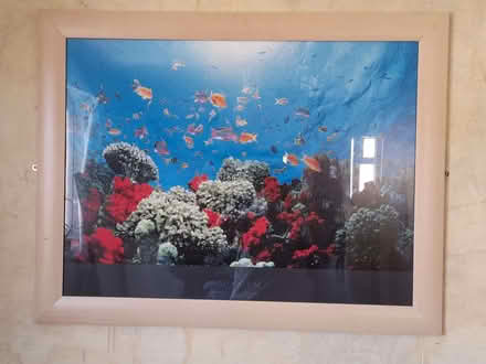 Photo of free Wall mounted picture in frame (Taunton Pyrland & Rowbarton District Ward TA2) #2