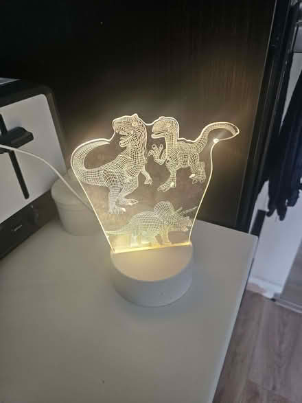 Photo of free Dinosaur lamp (Bromham MK43) #1