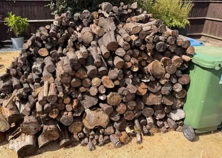 Photo of free Logs (Fazeley Junction B78) #1