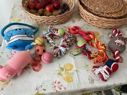 Photo of free Dog Toys (Saham Toney IP25) #1