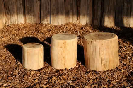Photo of Logs for seating (Hangleton BN3) #3