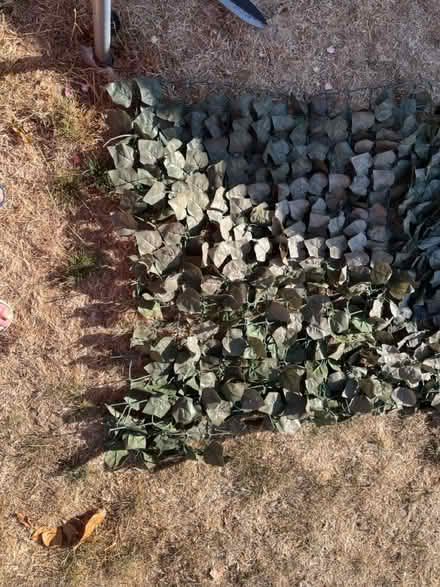 Photo of free Artificial ivy leaf roll (Littlehampton, BN17) #3
